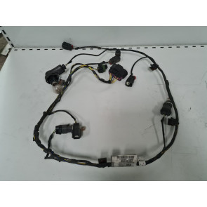 Set de cabluri senzori de parcare Opel Adam 13356887 17384